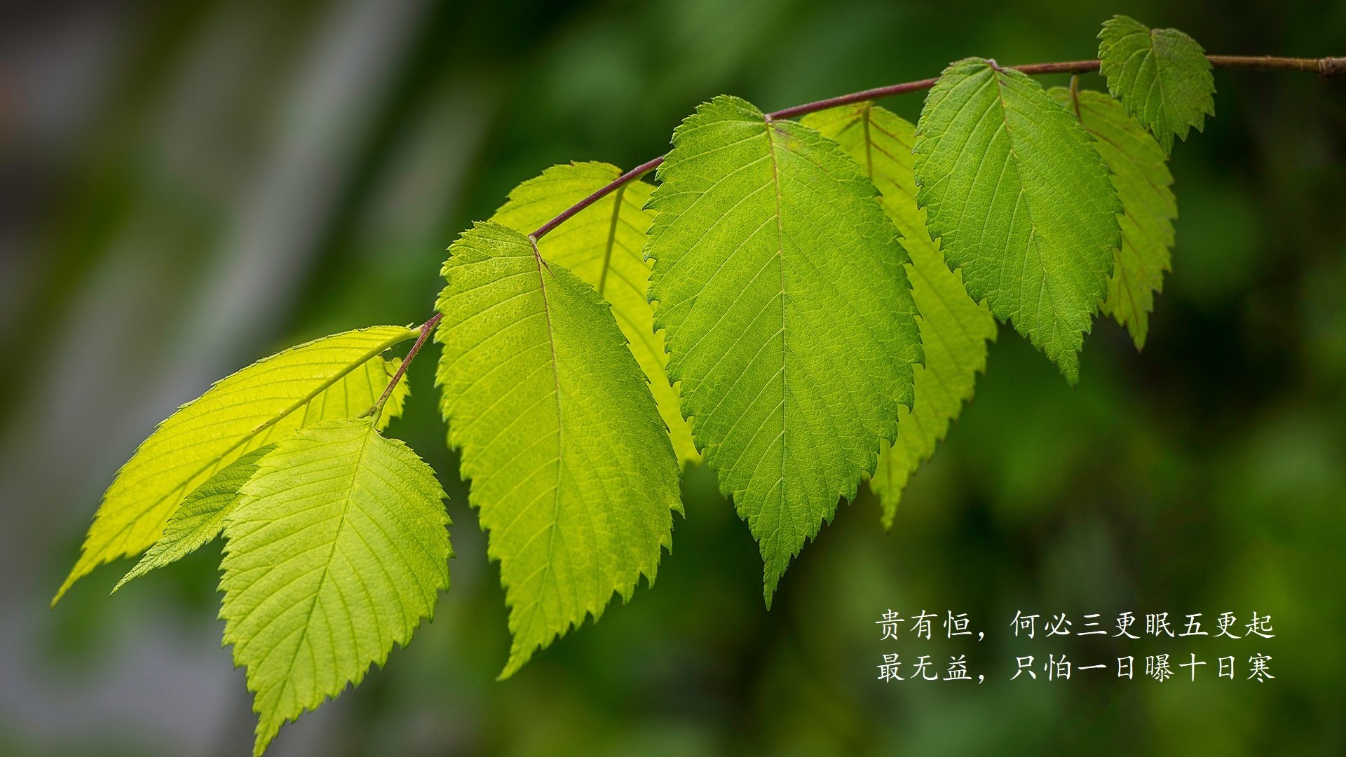 kaiyun官方入口登录-投篮精准：北京队命中率46%，赢得比赛关键优势，篮球 北京队