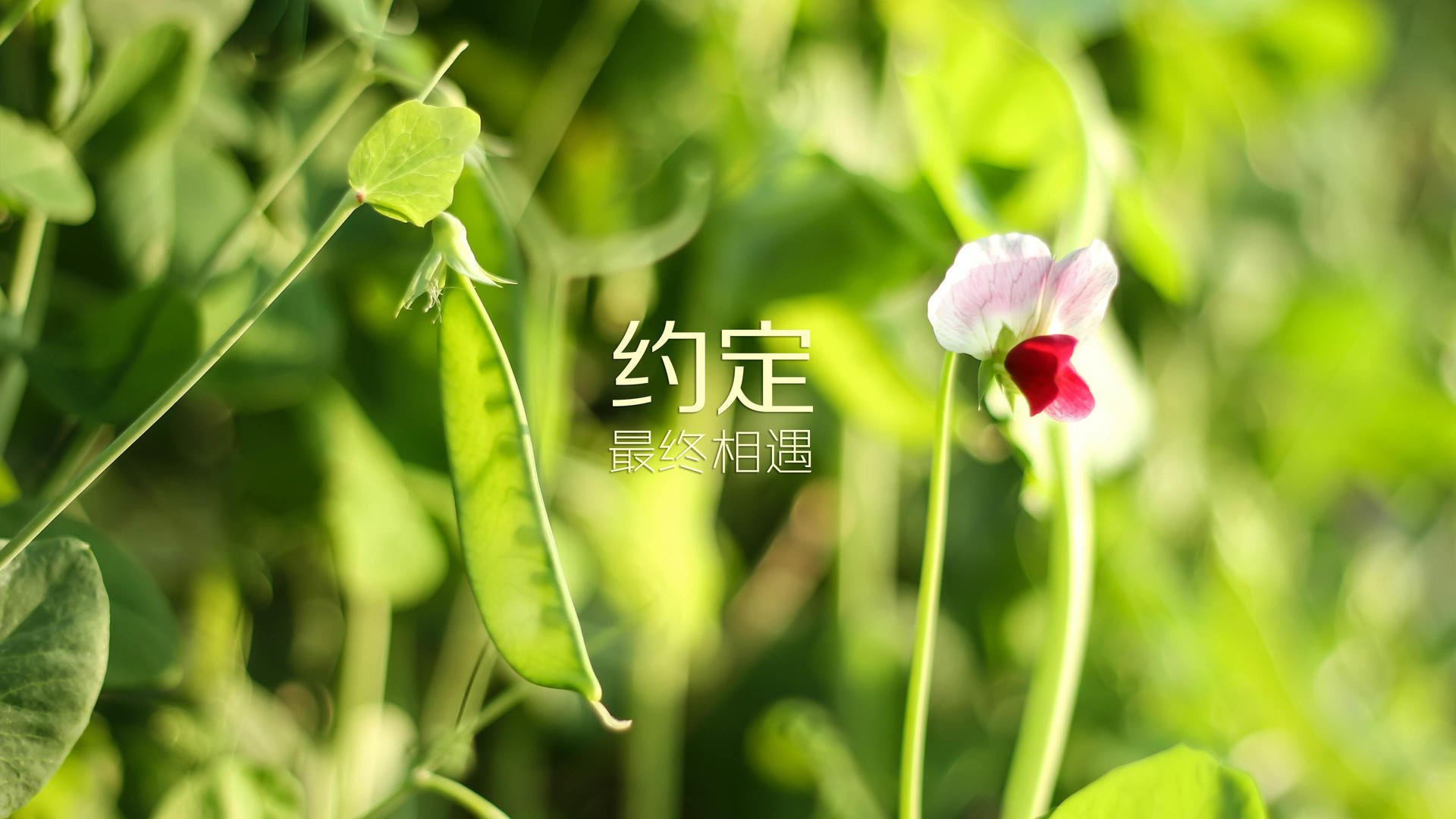 开云·体育官网-英超“豪门争霸”硝烟再起，争冠逐渐白热化，英超的豪门球队