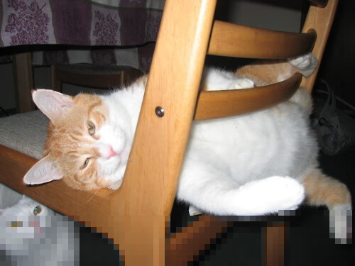 开云平台-王宗源突破极限挑战自我，王宗源第五跳