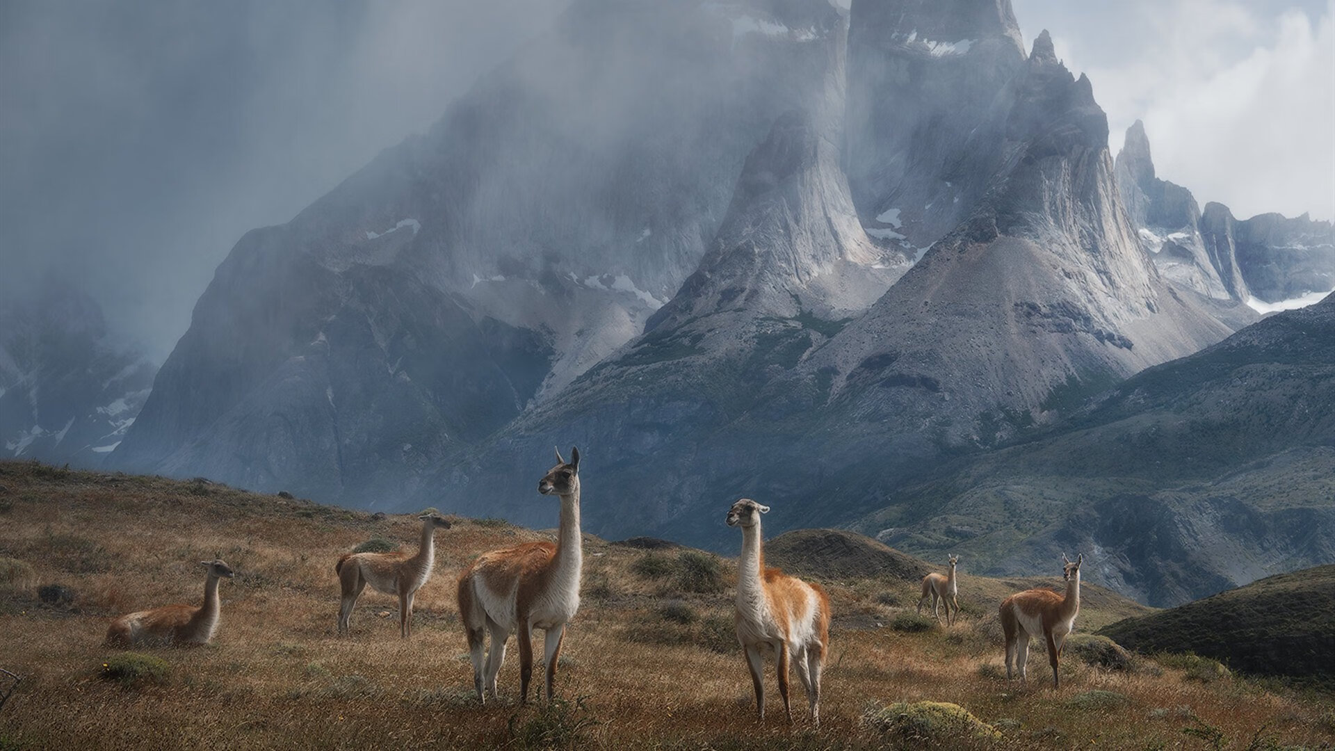 开云体育官方网入口-英超冲刺大战:胜负只在一线之间!,英超满场