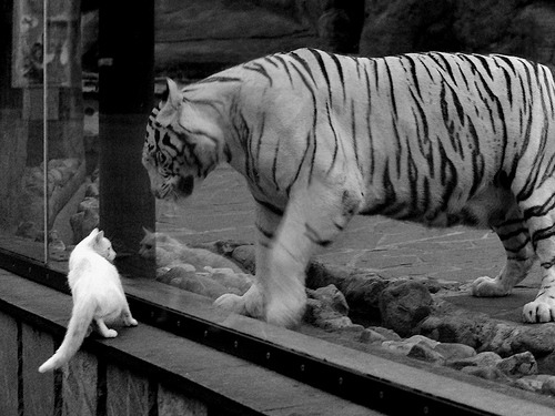 开云体育网页版入口-防守阵形紧凑，有效遏制对手进攻，防守技术_防守对手