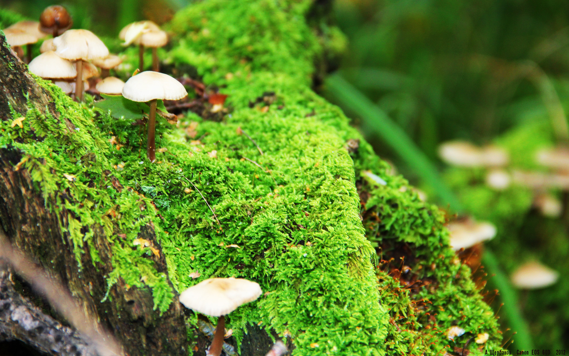 kaiyun.com-霍勒迪谈防守轮转中沟通起到决定作用,霍勒迪防守教学