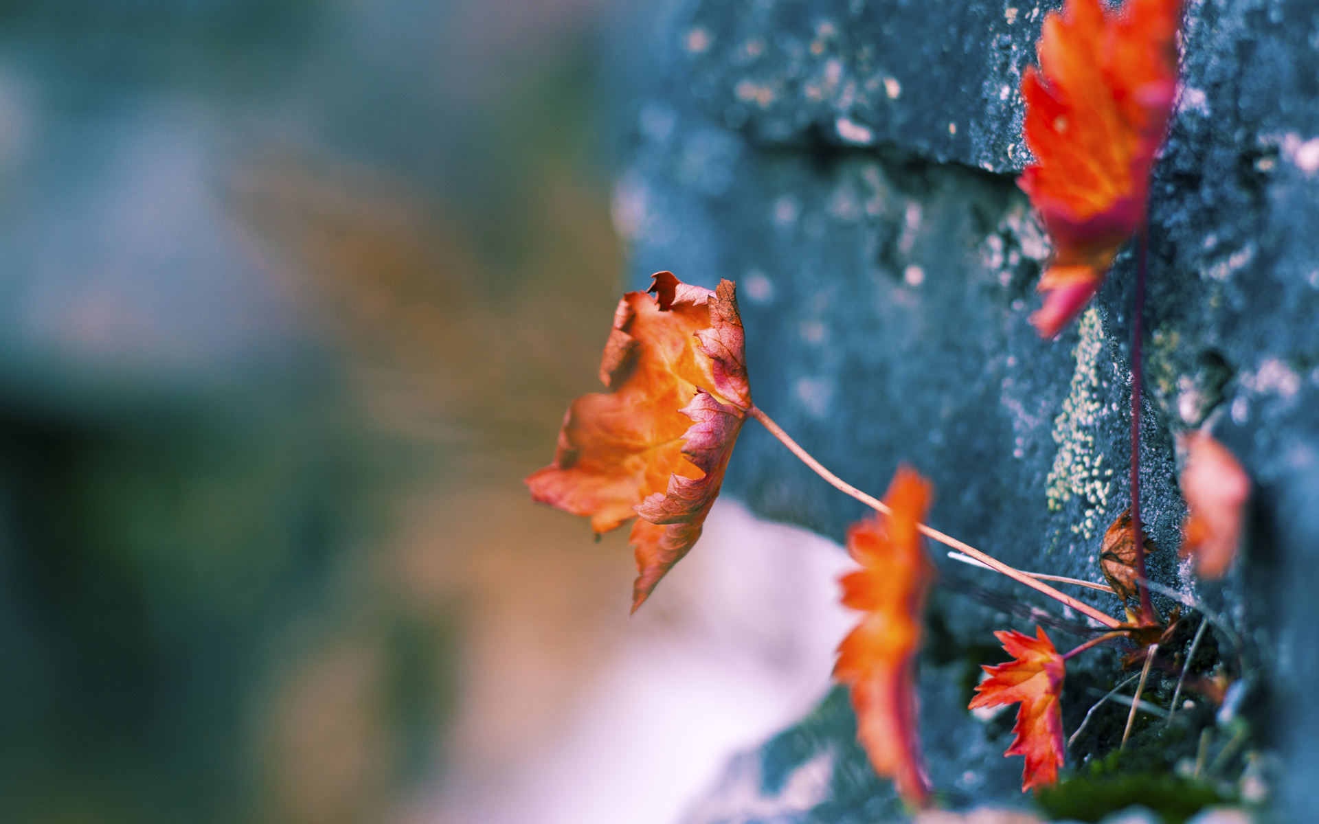 Kaiyun(中国)开云-马刺举办球队内训赛检验季前战术体系，马刺团队篮球