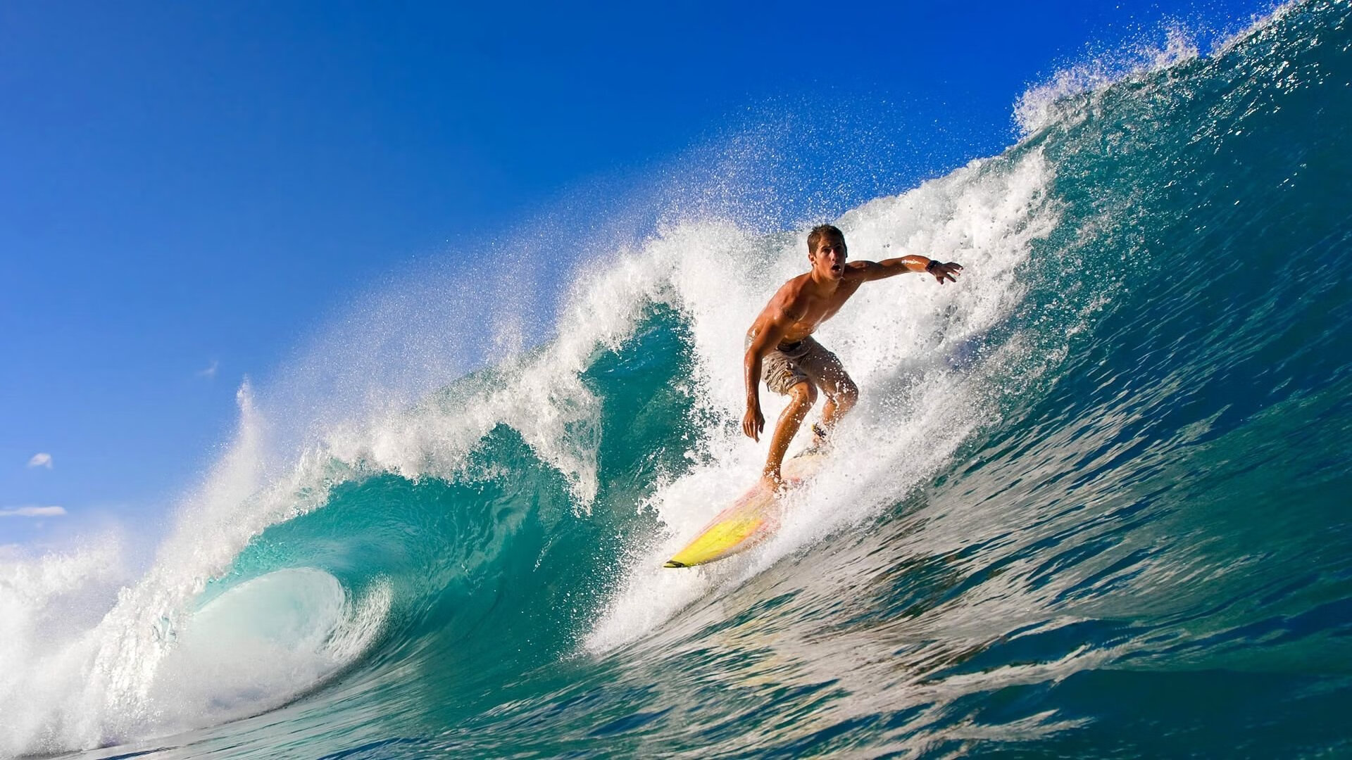 意大利骑手多米安·米歇尔斯在2024年巴黎奥运会盛装舞步比赛中获得第六名，展现坚韧精神。